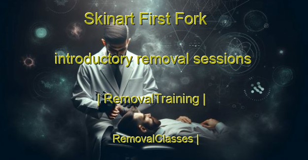 Skinart First Fork introductory removal sessions | RemovalTraining | RemovalClasses | SkinartTraining-United States